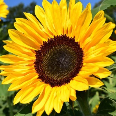 WVillacin's profile picture. 