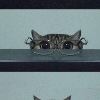 MCGiGie's profile picture. 💜 CHITTAPHON