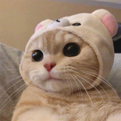 Ah5495811483065's profile picture. Security Researcher