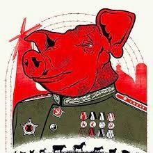 BeriaAcreano's profile picture. O preço da liberdade é a eterna vigilância - Eric Cartman