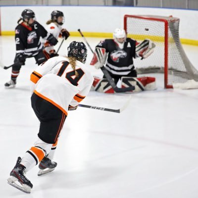 Delano High School hockey #14, 2025