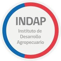 INDAPÑuble (@indapnuble) 's Twitter Profile