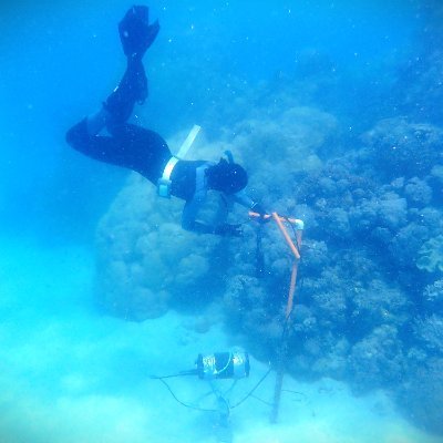 Marine biologist, underwater sound, coral reefs and sustainability. @RoyalSociety Dorothy Hodgkin Fellow @UniofExeter. #queerinSTEM 🏳️‍🌈