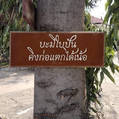 Ratchadapornma6's profile picture. หาคำคม