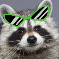 썬대리😎(@sunraccoondog) 's Twitter Profile Photo