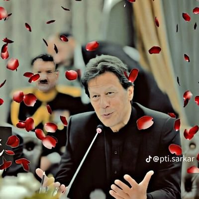 NMuhammad7877's profile picture. 