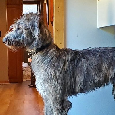 mchinn's profile picture. Online customer experience strategy, management - peer-to-peer community and social care architect - and music lover. Views: my own