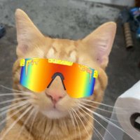 Voyage (@ttvvoyage) 's Twitter Profile