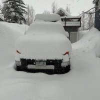 Dale Starr (@dalestarr4) 's Twitter Profile