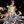 RKE || AkitoMX π²π½ (@AkitoFGC) profile picture