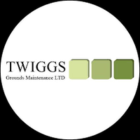 TWIGGS(@TWIGGS1985) 's Twitter Profileg