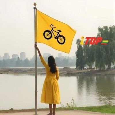 dondapati6165's profile picture. 