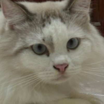 dhjjdiix's profile picture. 