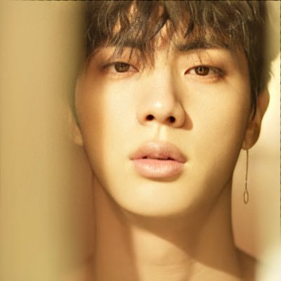 seokjindesi Profile Picture