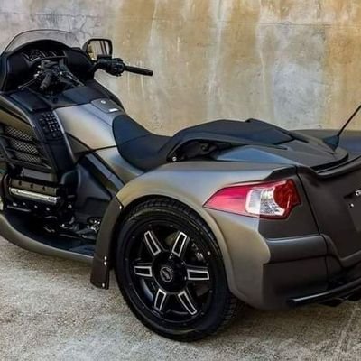 zia553735267544's profile picture. 