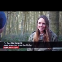 Dr Cecilia Dahlsjö(@CDahlsjo) 's Twitter Profile Photo