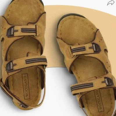 durranima21's profile picture. Aeronautics