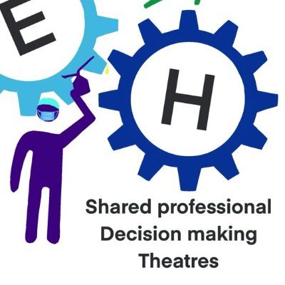 GEH Theatres Shared Professional Decision Making