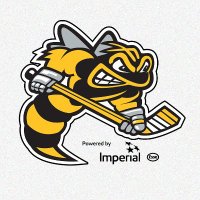 Sarnia Sting(@StingHockey) 's Twitter Profileg