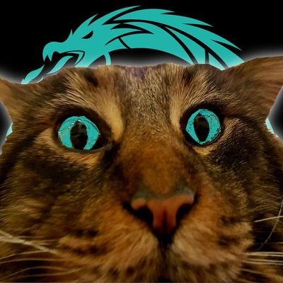 CryptoCat/Influencer/Promoter, living in the blockchain, knows things! ...follow the cat! $OPHX