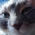 Jucsel (@jucsel2v) Twitter profile photo Jucsel (@jucsel2v) Twitter profile photo