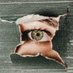 el ojo cosmico (@uncosmicojo) Twitter profile photo