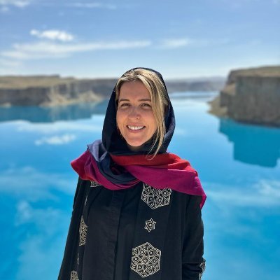 Deputy Director of UN-Habitat Syria. Lover of cities and architecture.