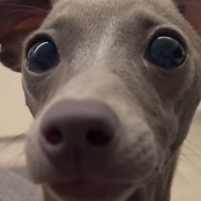 Karl67009169's profile picture. 