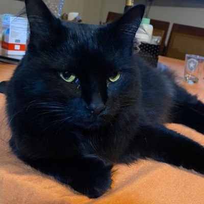 andreiamiguens's profile picture. I am into finance (not trust fund), research, management, Botafogo and spanish things.