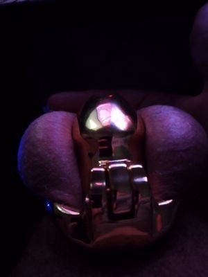 20y, a new puppy in the playground. 🔞 chastity, Bondage and other things might appear here so be warn