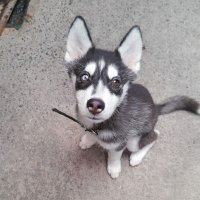Mario (@soutsidersc) 's Twitter Profile