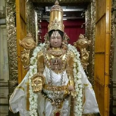 SarathiN578947's profile picture. 