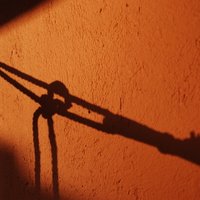 Julio Collado Vides (@julcollado) 's Twitter Profile