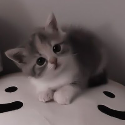 jnnCrvv's profile picture. 