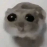 astrooo (@astrokow) 's Twitter Profile