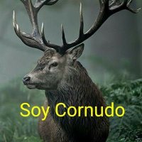 Juan Pérez (@hwkarla) 's Twitter Profile