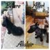 AMM (@amm1254708) Twitter profile photo AMM (@amm1254708) Twitter profile photo