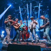 The Stringdusters(@stringdusters) 's Twitter Profile Photo