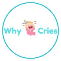 Why Baby Cries(@why_baby92789) 's Twitter Profile Photo
