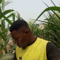 Farmercist Gabriel🍅🍉🌶️🫑🥒🥦🧅🥬🌽🥕 (@gabrielokeke10) 's Twitter Profile