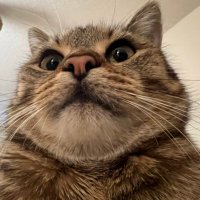 Colin (@sunra__) 's Twitter Profile