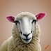 Jeu du Sheep (@JeuSheep) Twitter profile photo