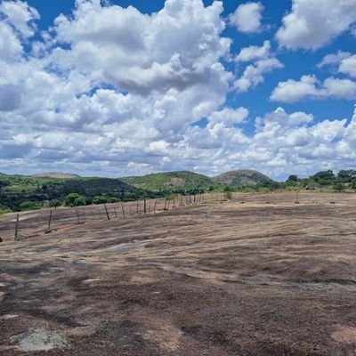 PastorTommyZim's profile picture. 