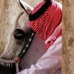 bwysr9747440985's profile picture. 