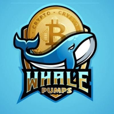 Whalepump Profile Picture