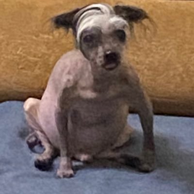 ddmmaa0's profile picture. Dev