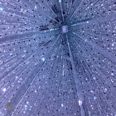 Bluesky311703's profile picture. 