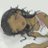 t0ture3dbunnie's profile image