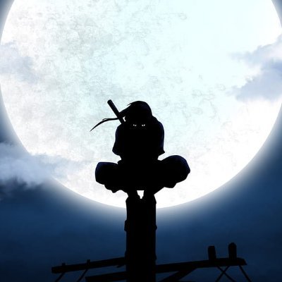 NotForza's profile picture. 