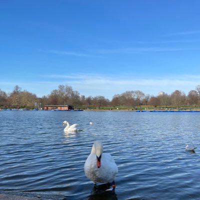 m_morinori29's profile picture. 好きな色は水色